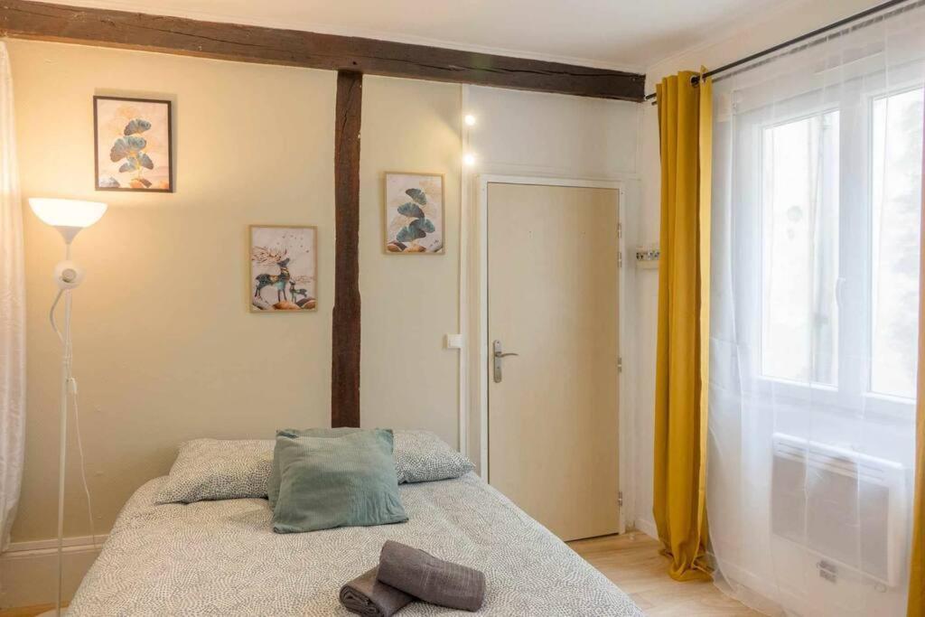Studio Rue Pietonne Orleans Exterior photo